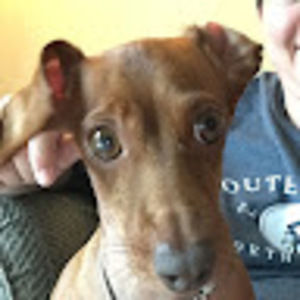 Meet your Posher, Kyle